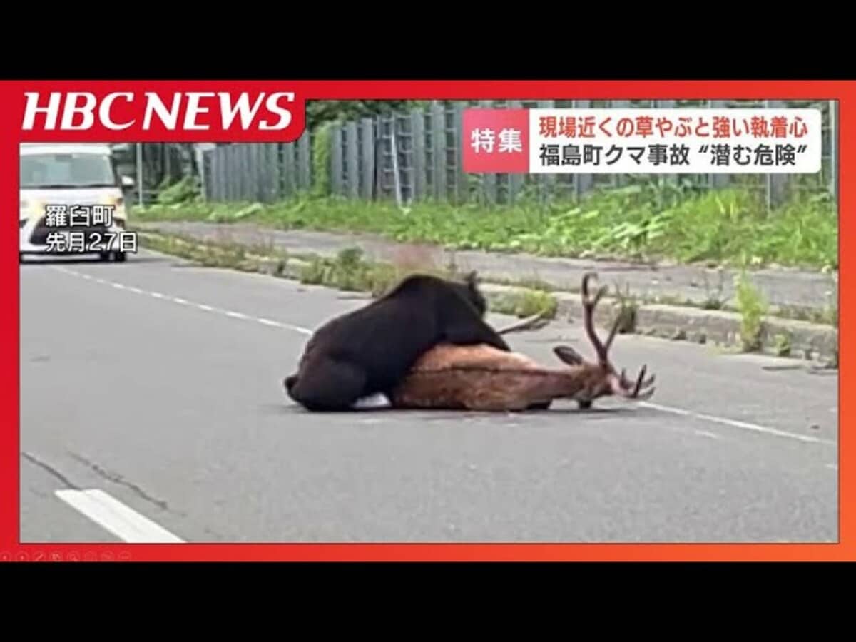 なぜ熊害は急増したのか？遭遇時の致死行動と生存を分ける真実