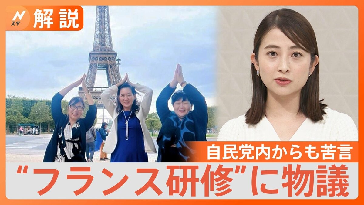 自民党フランス研修の真相｜エッフェル塔写真の炎上理由と現在の状況