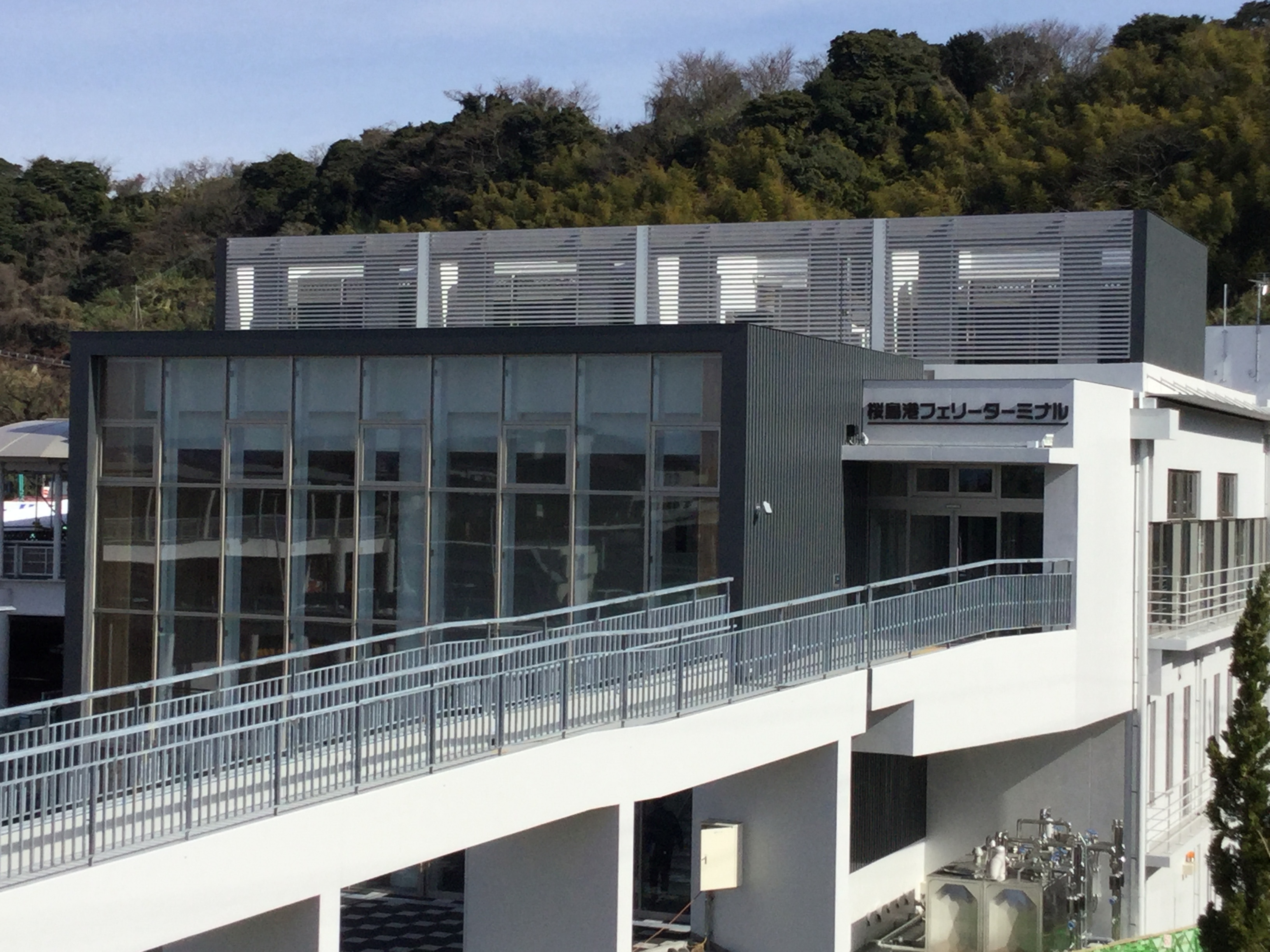 桜島港フェリーターミナル完全攻略｜料金の罠と24時間運航の真相