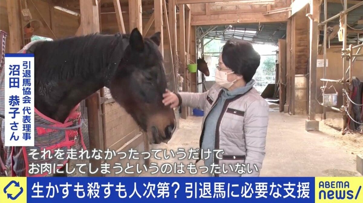 競走馬の引退後、その行方に「馬肉」という現実が横たわっている。ネット上では「サラブレッドが食用になるのは本当か」「屠殺されるのか」と検索が急増。本稿では2026年時点の流通経緯・年間頭数・表示ルール・愛護議論まで、噂と現場データの狭間を徹底検証した。