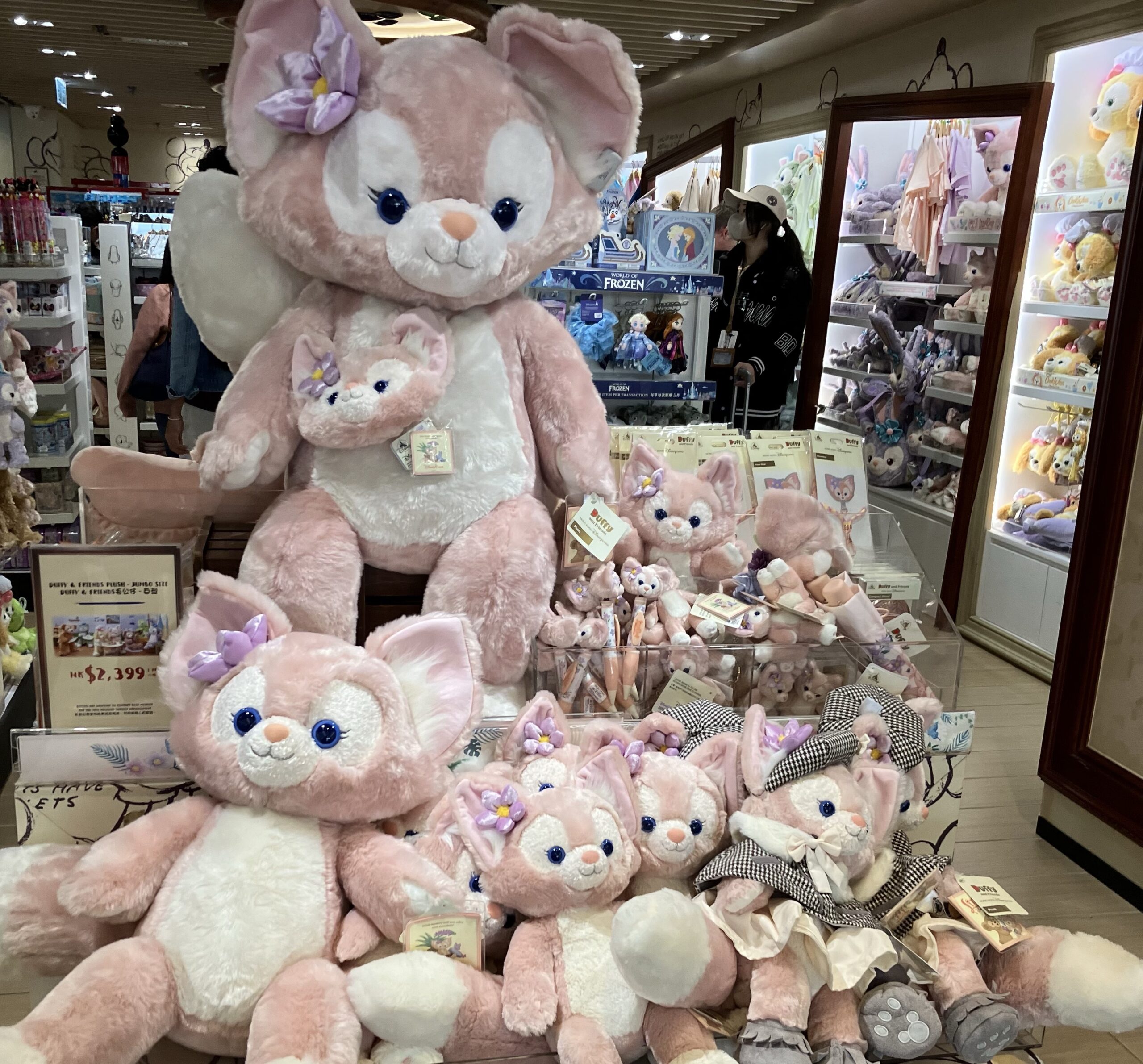 香港ディズニーストア通販の真相！限定品の日本直送と代行の落とし穴