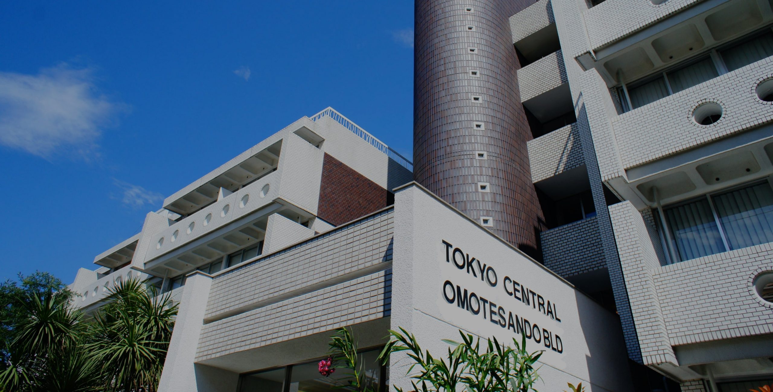 東京セントラル表参道の真実｜賃貸事情と建て替えの噂をプロが徹底解説