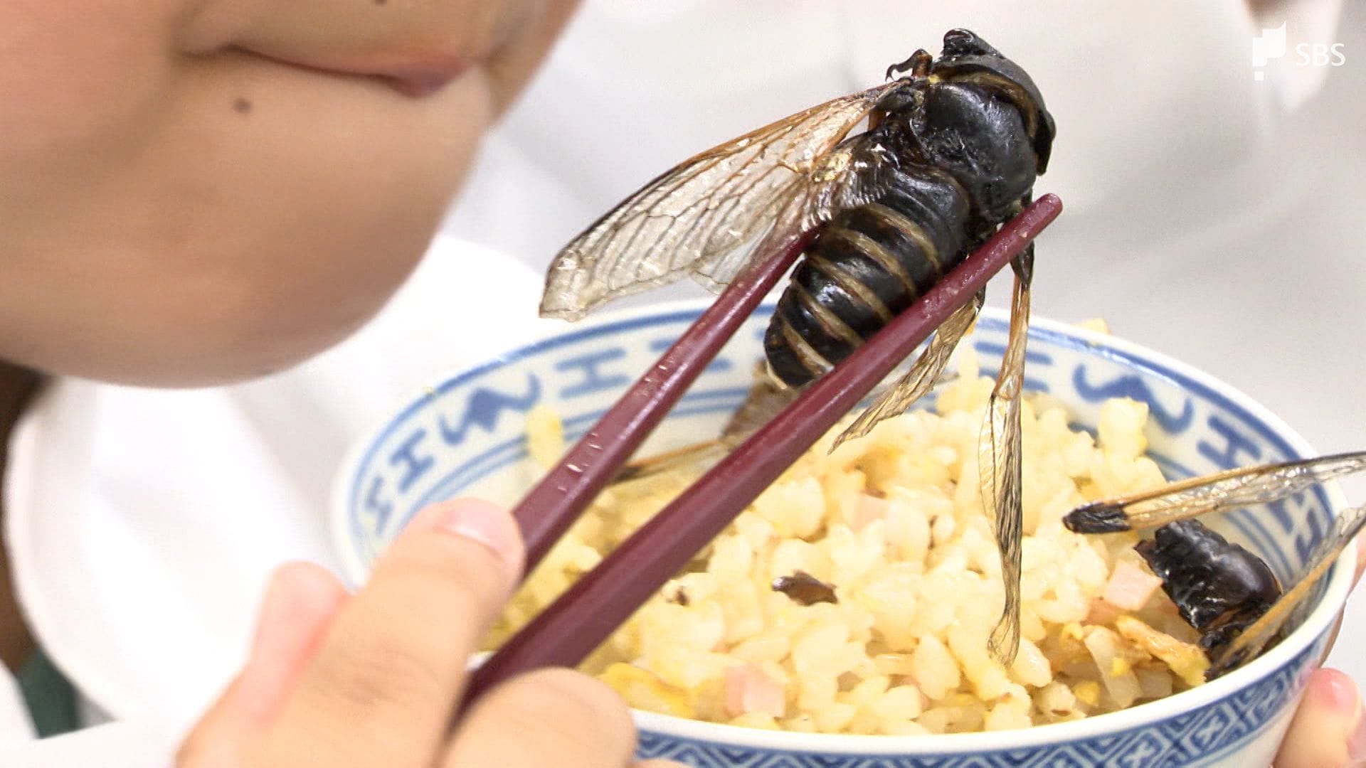 セミの幼虫が食用で絶賛される理由とは？味の評判と安全な食べ方を徹底解剖