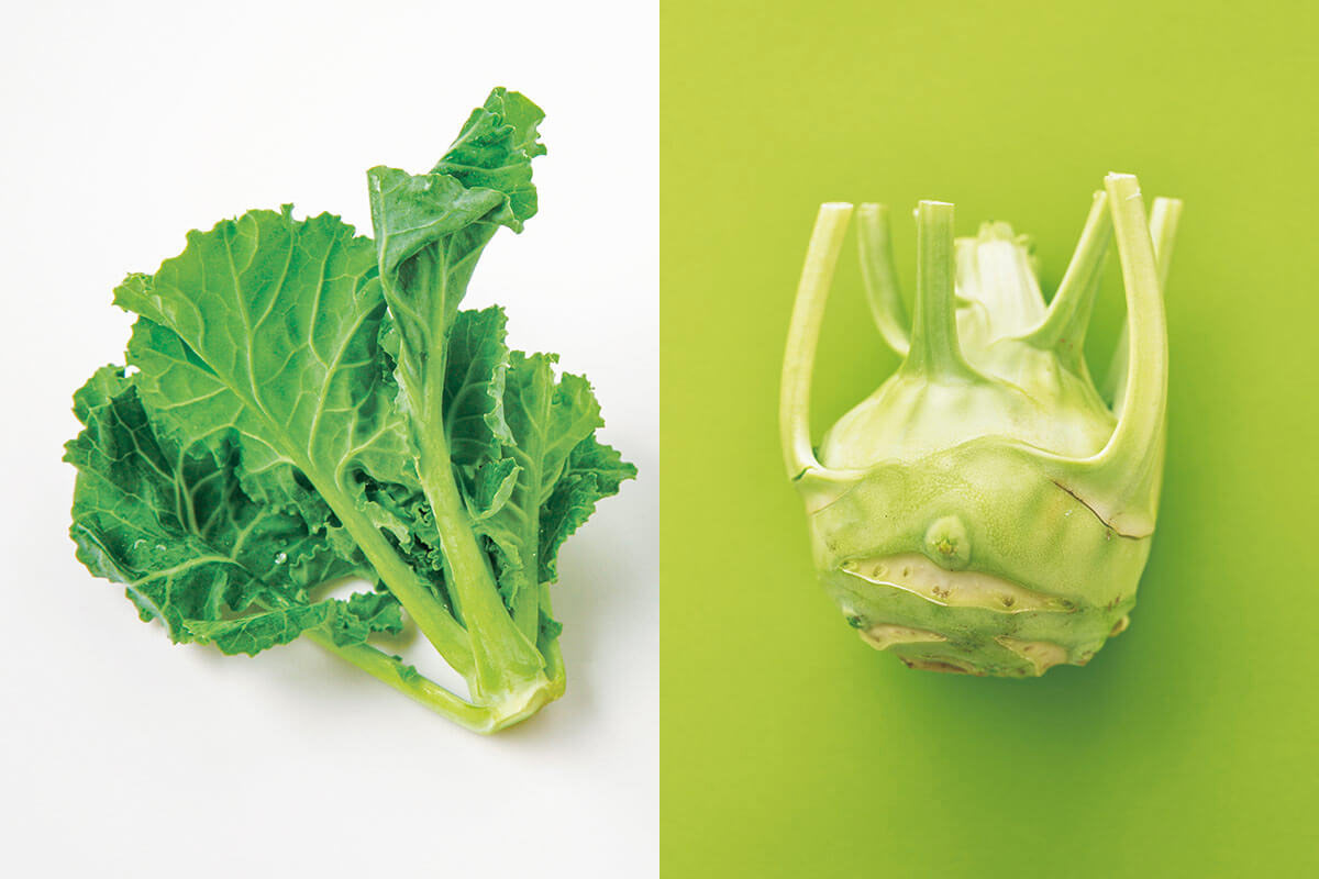 ブロッコリーも同種？キャベツの仲間野菜の真実と栄養徹底比較