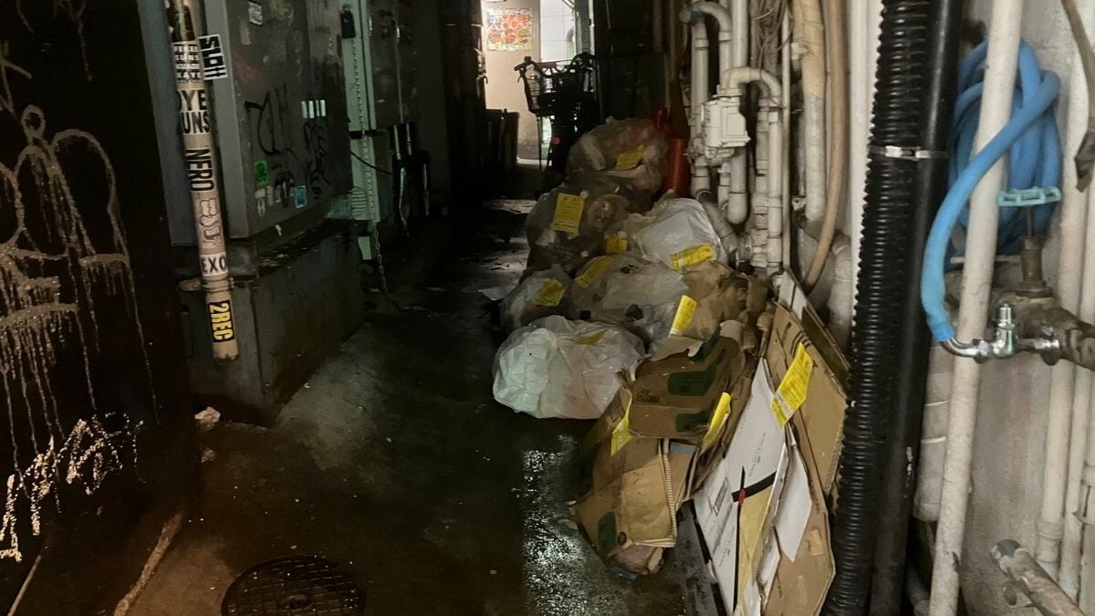歌舞伎町ネズミ急増の衝撃実態！飲食店ゴミ問題と都の緊急対策を追う