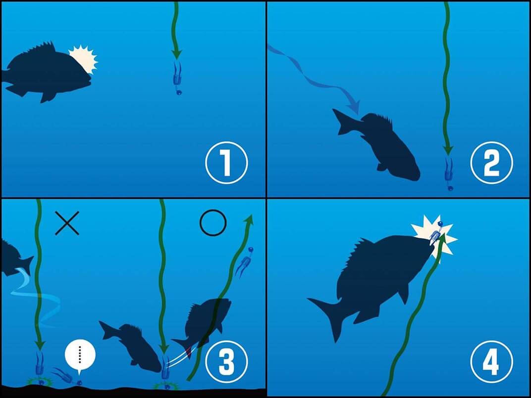 タイラバ釣り方完全ガイド！等速巻きのコツと釣れない原因をプロが解明