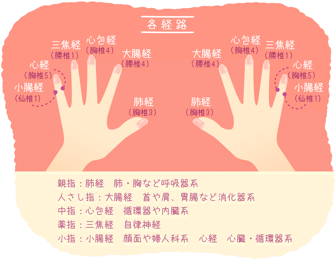 仕事中に効く手のツボ大全！合谷・労宮の劇的効果と2026年最新図解