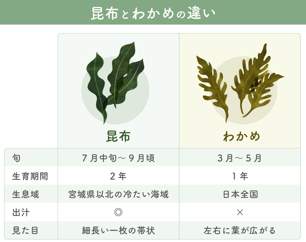 わかめと昆布の決定的な違いとは？栄養・出汁の使い分けと味噌汁の謎