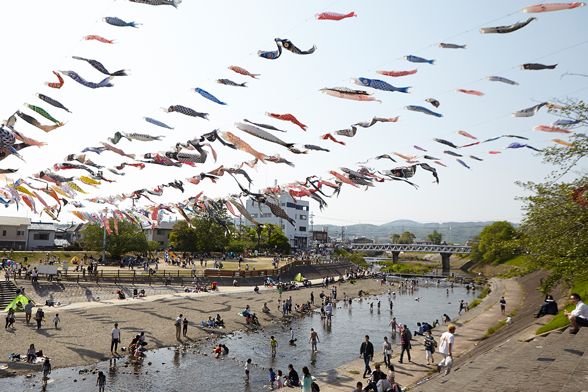 芥川桜堤公園の桜とこいのぼり2026｜見頃と駐車場・混雑回避完全ガイド