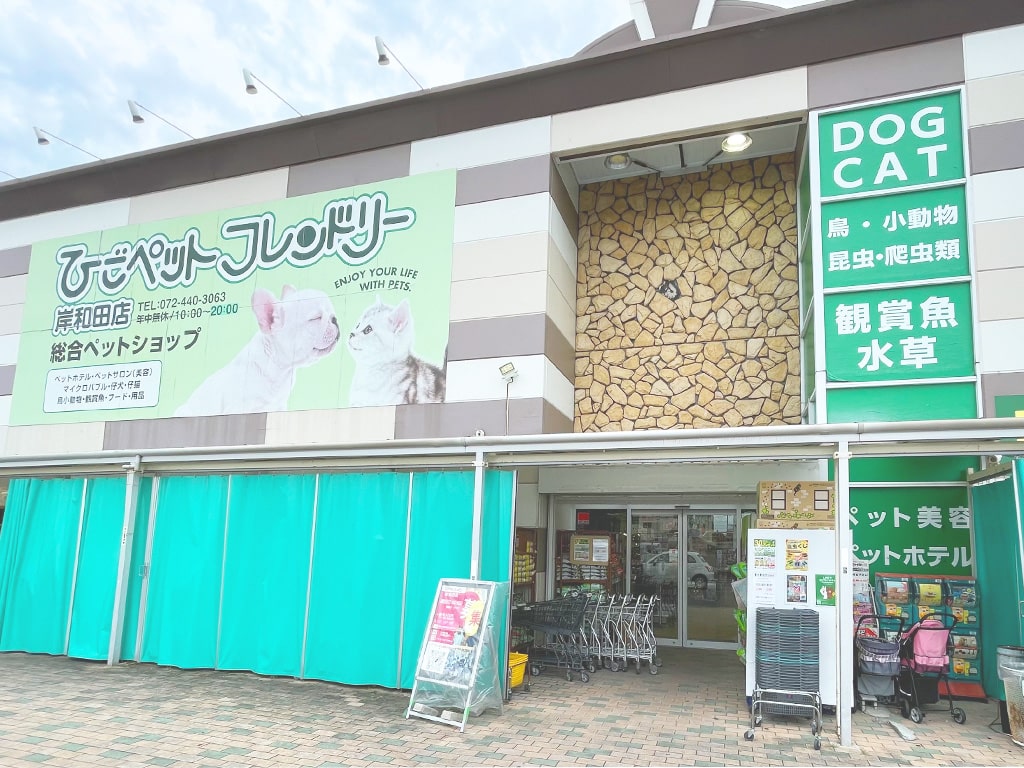 ひごペット岸和田店の評判の真相！生体価格やトリミング料金と混雑を徹底検証