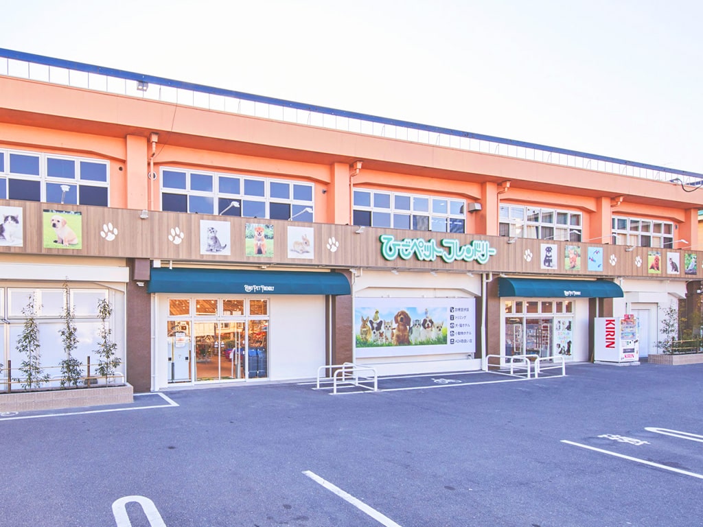 ひごペットフレンドリー京都店の口コミ評判と生体価格・料金を徹底検証