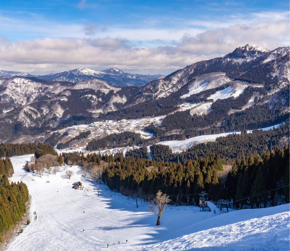 わかさ氷ノ山スキー場2026最新情報！積雪・営業状況と道路事情を徹底検証