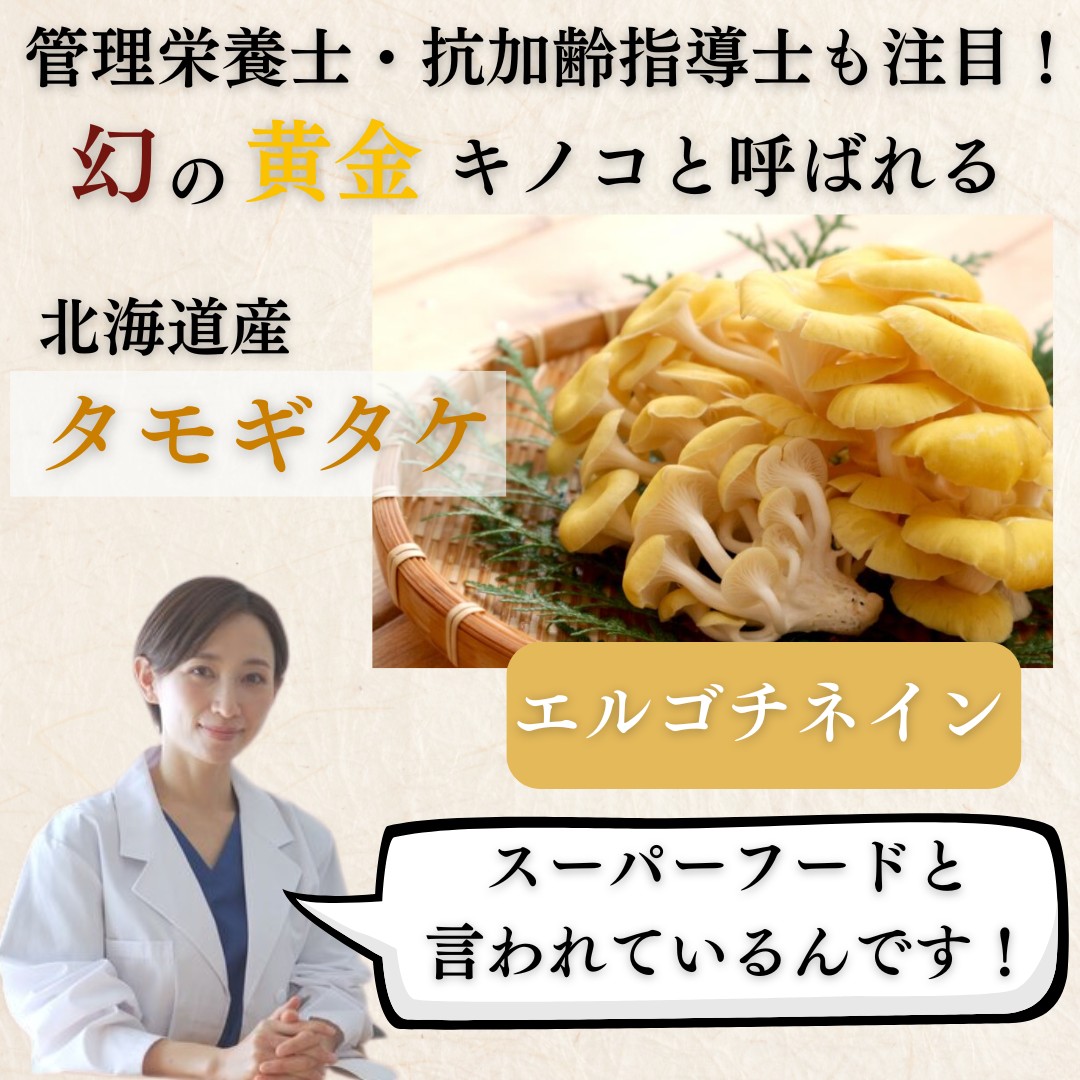 たもぎ茸の効能と真相を徹底検証！記憶力維持と美肌を支える秘密