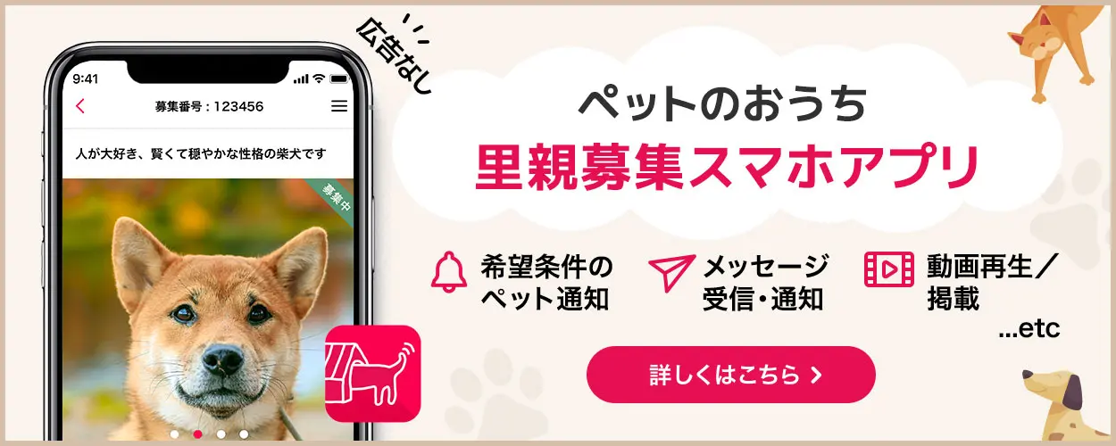 ペットのおうちの評判・審査の実態！トラブル回避と里親詐欺対策の全貌