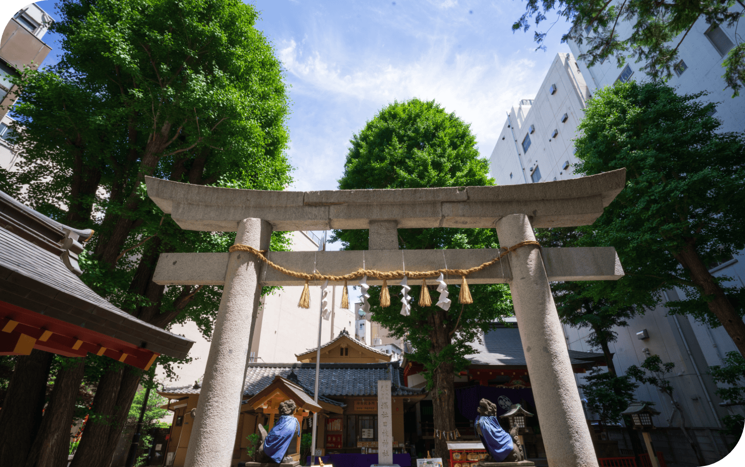 日本橋日枝神社の金運ご利益と兜町が崇敬する理由を徹底解剖