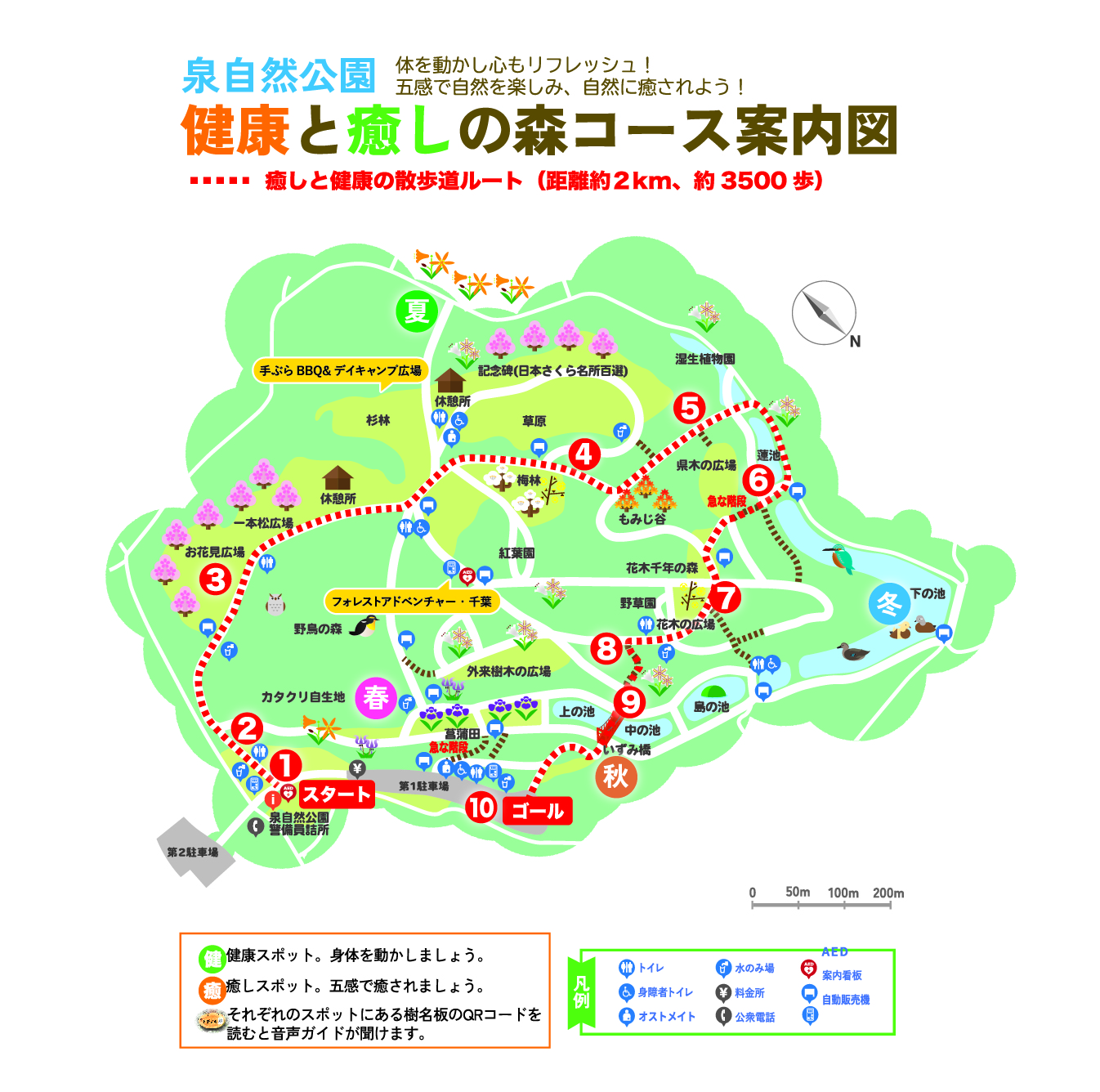 泉自然公園の魅力完全解剖！桜と紅葉の絶景や混雑回避術を徹底解説