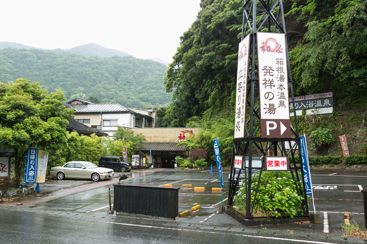 和泉の天然温泉を徹底解剖！名湯の真価と日帰りサウナ・料金の真実