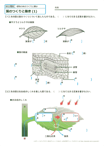【プロフィール】 中 1 理科 自学 衝撃の最新ニュース #939
