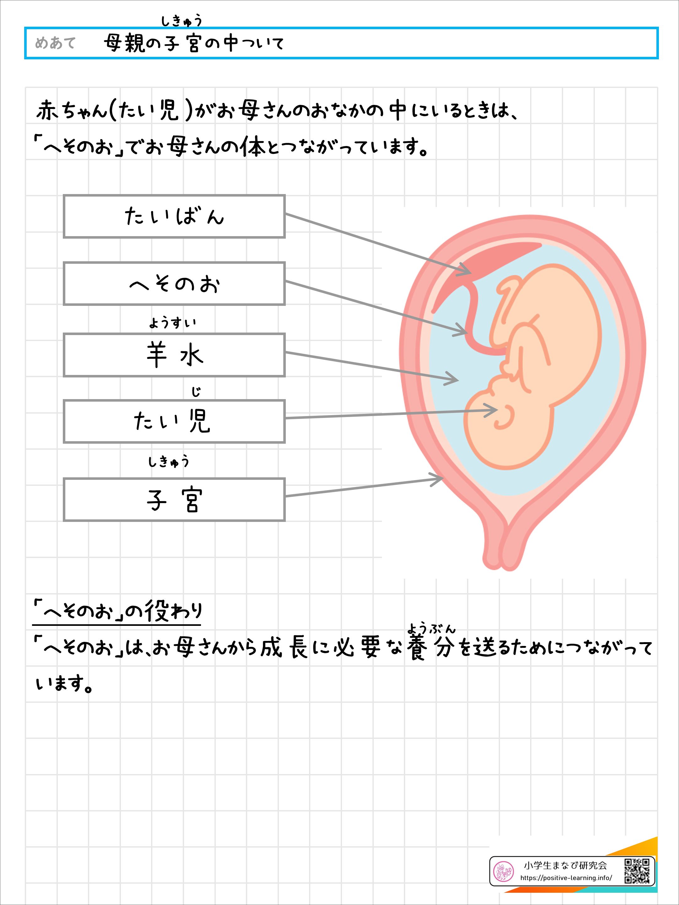 小学5年生の自学ネタ決定版！10分で先生が高評価する面白いテーマ徹底解説
