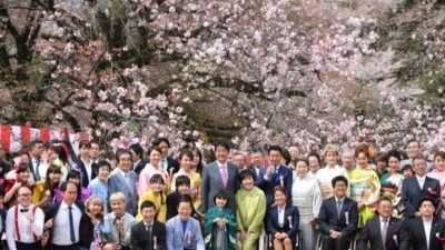 【まとめ】 桜 を 見る 会 気になる噂と真相 #845