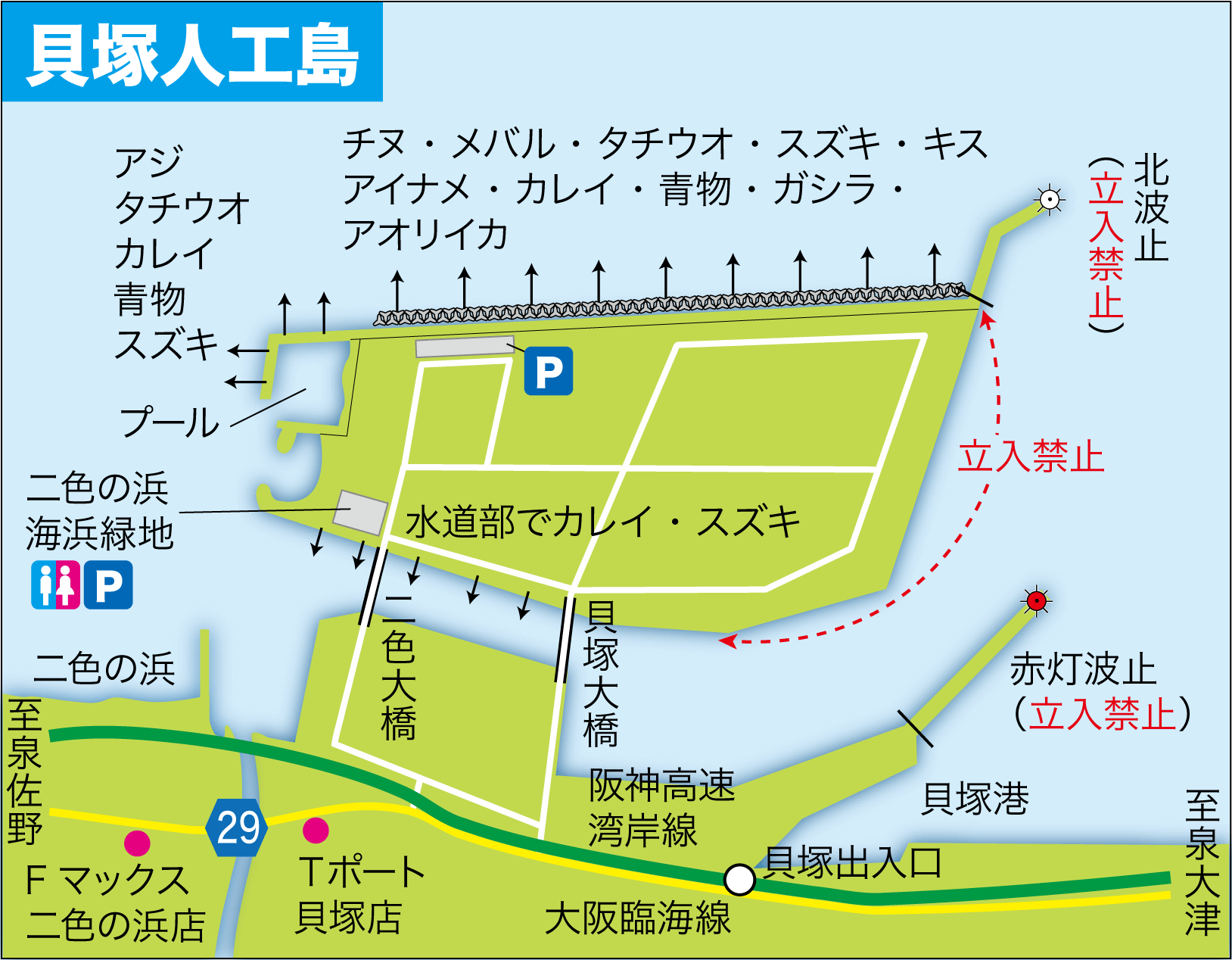 貝塚人工島の釣り場2026最新状況！プール・青物釣果と立入禁止の真相