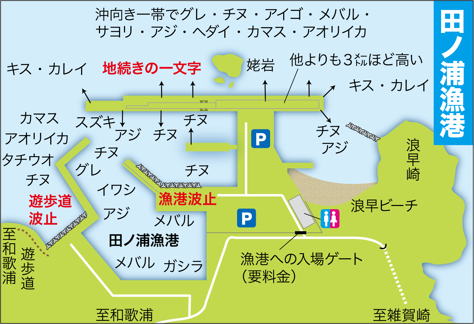 田ノ浦漁港の釣果2026！アジやタチウオの回遊と爆釣ポイント徹底解説