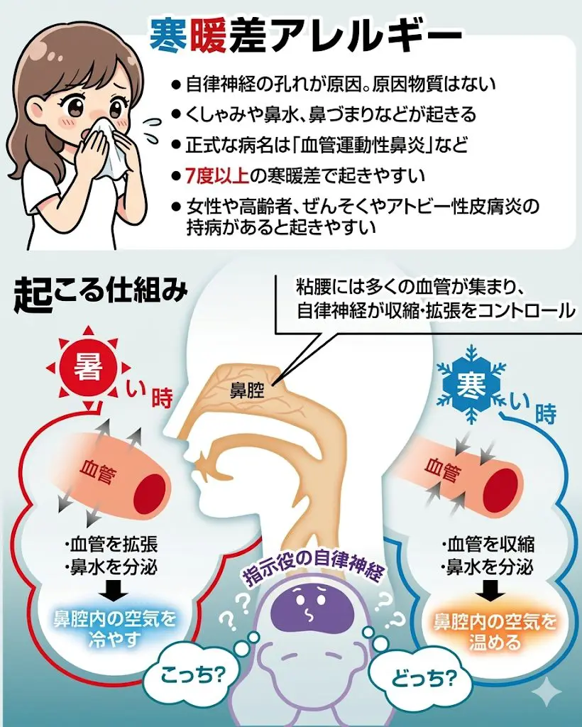 寒暖差アレルギーの症状と治し方｜風邪や花粉症との違いと自律神経対策