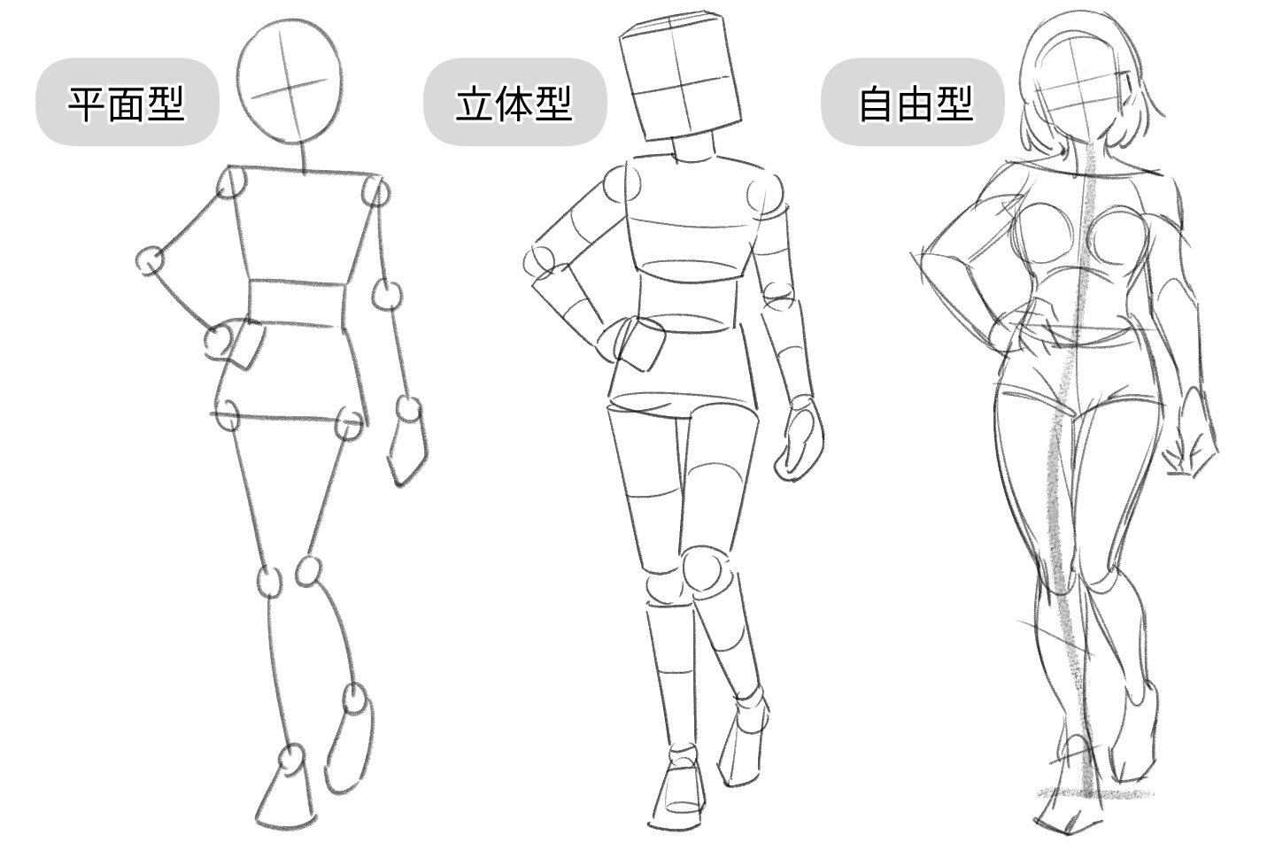体の書き方で挫折しない黄金比率！男女の骨格差とアタリの極意【2026】