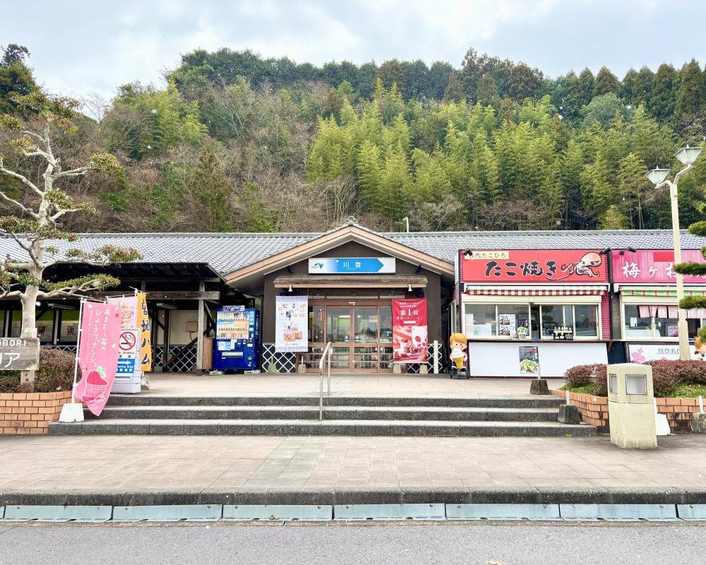 長崎道・川登Saの魅力解剖！上り下りの違いと絶品グルメ徹底ガイド
