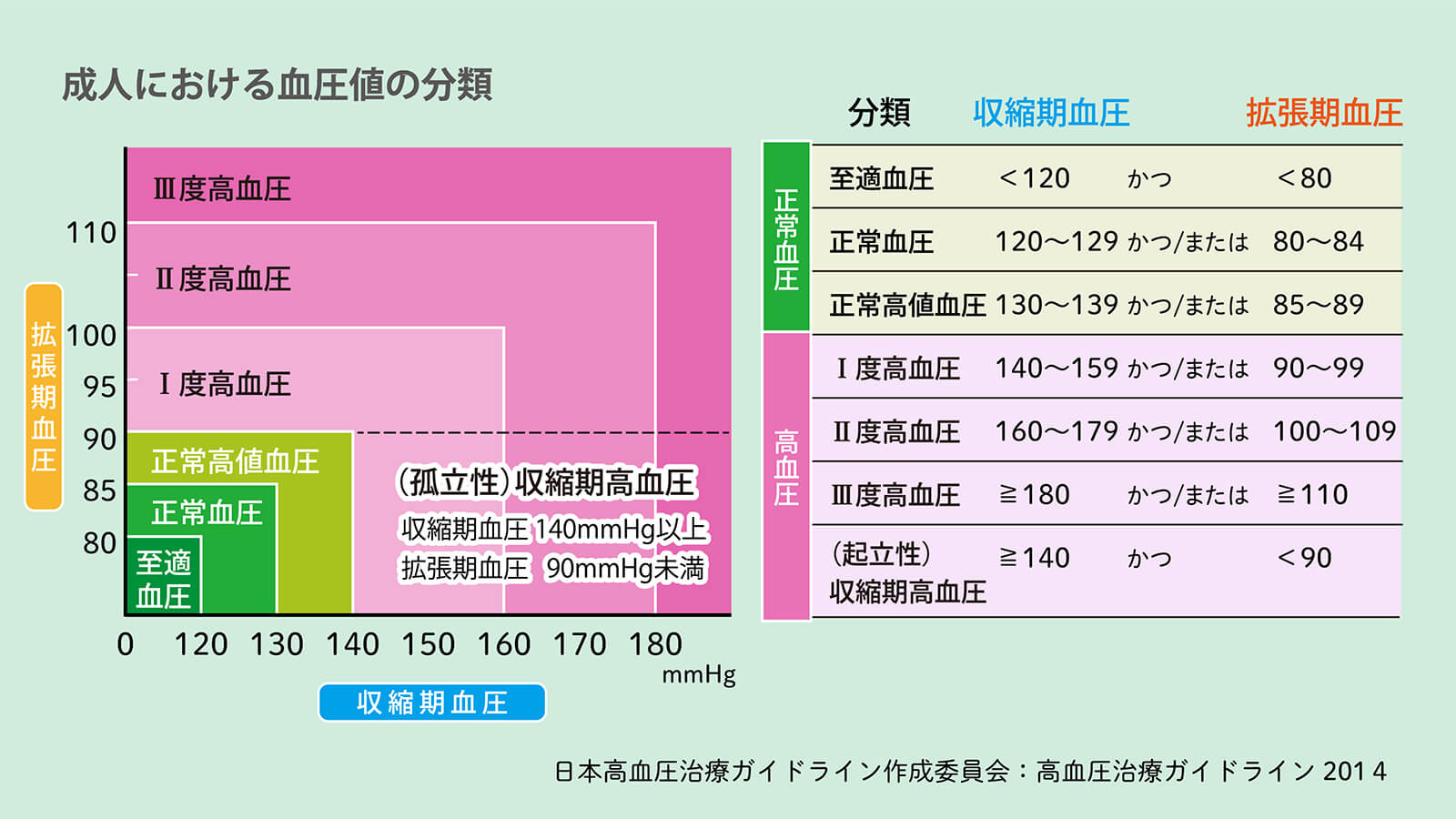 高血圧基準は2026年に変わった？学会の真相と家庭血圧の新常識