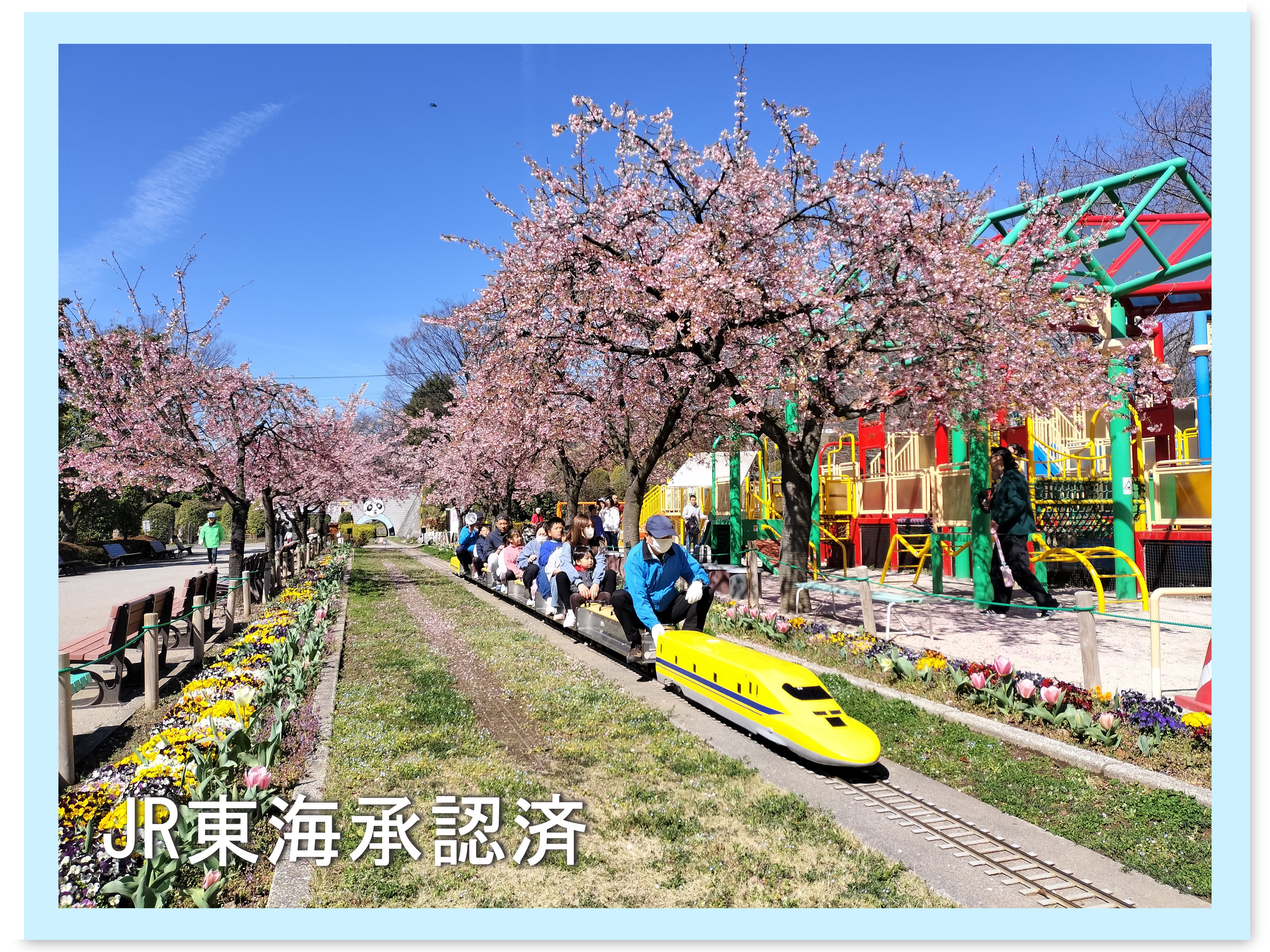 川口市立グリーンセンター2026最新攻略！リニューアルと混雑回避の真実