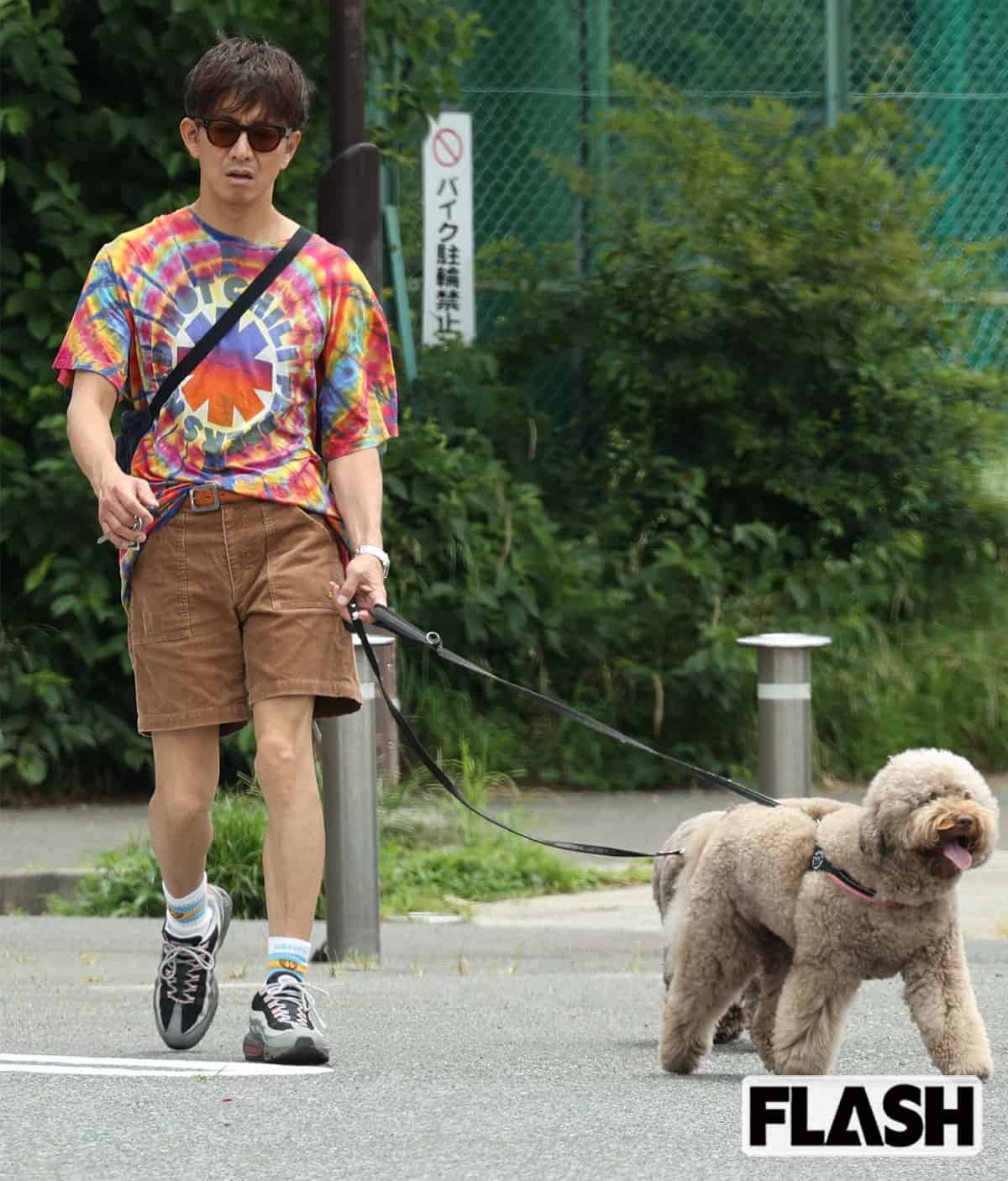 キムタク愛犬散歩の目撃現場と私服！2026最新ルートと愛犬の全貌