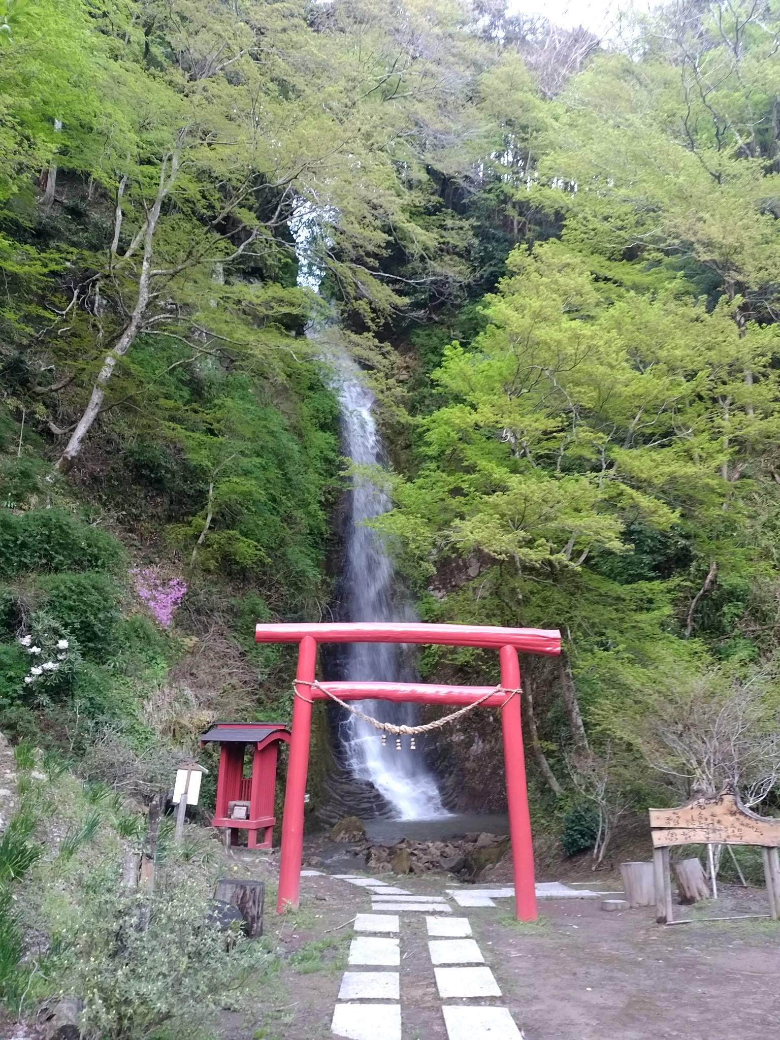 金神の滝の開運ご利益とアクセス徹底検証｜養老渓谷の隠れた名所の真実