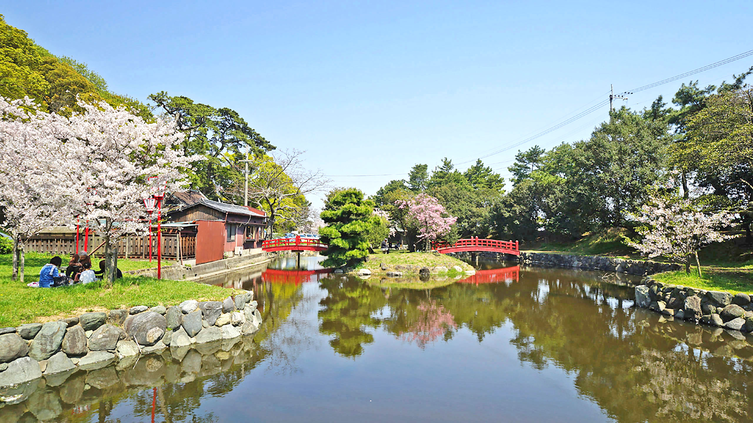 琴弾公園の銭形砂絵に隠された真相！金運伝説と絶景の全貌