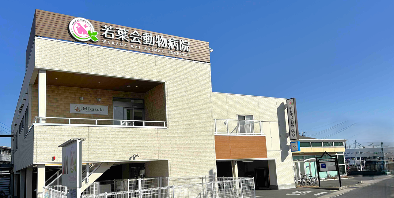 若葉会動物病院の評判と噂の真相｜閉院説や口コミの実態を徹底取材