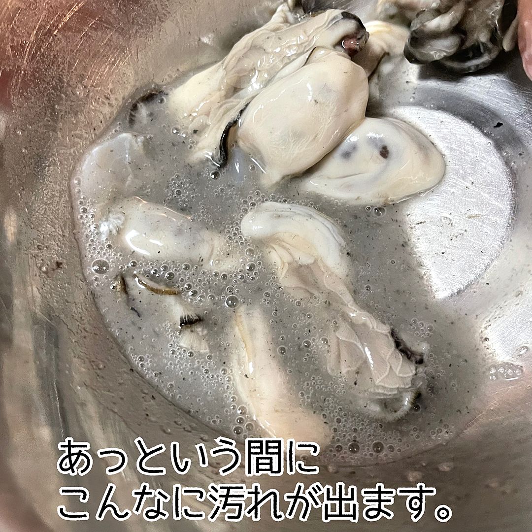 ラーメン屋の味玉を完全再現！半熟煮卵の黄金比レシピと失敗しない裏技