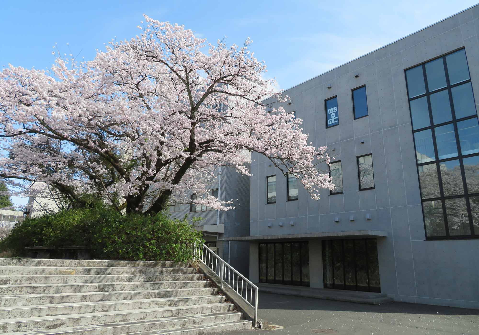 東京高専のリアルな評判と進路実績｜偏差値・学費・編入を徹底解剖