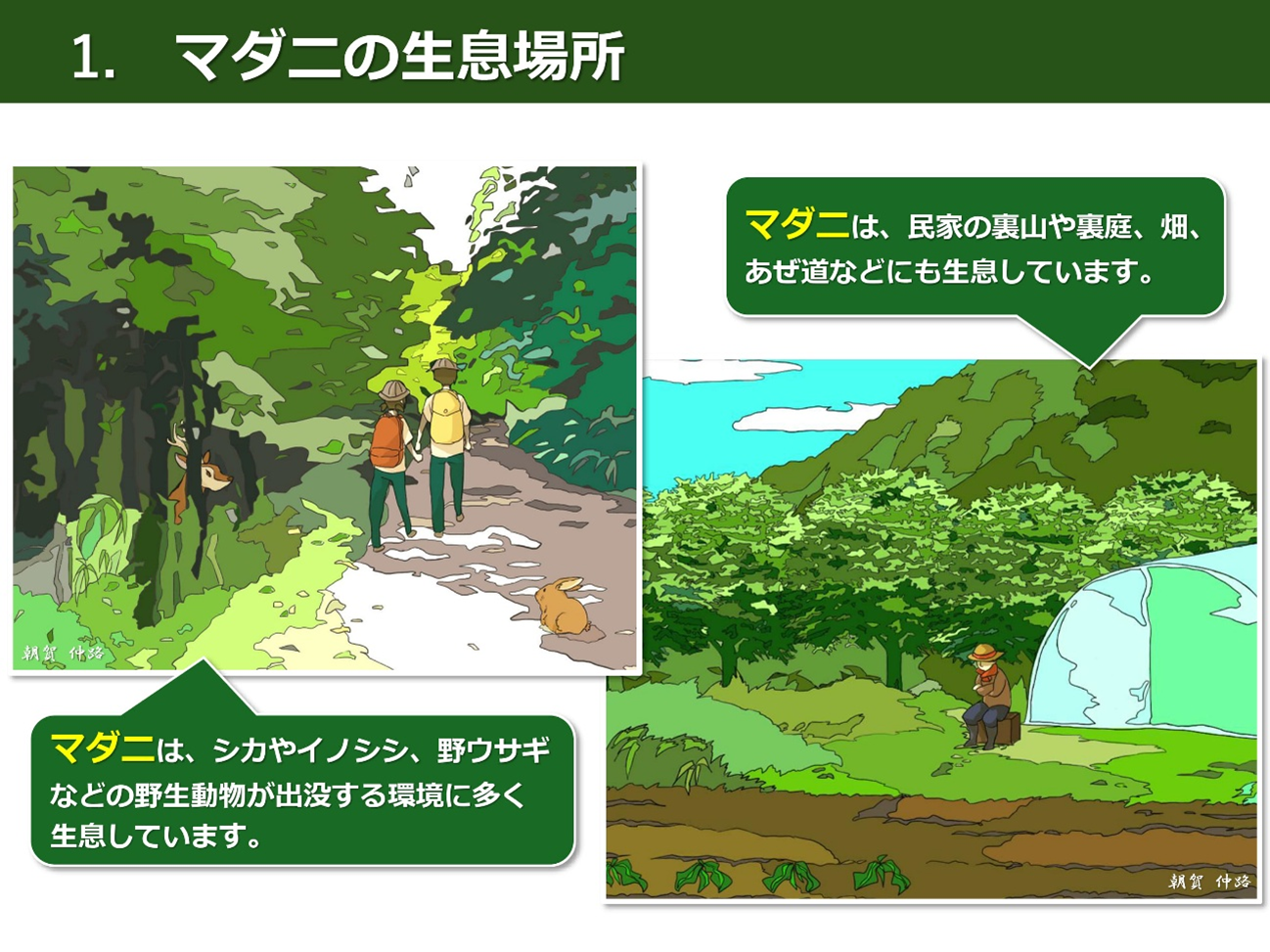 マダニはどこにいる？庭や公園の潜伏場所と2026年最新の感染症防護策