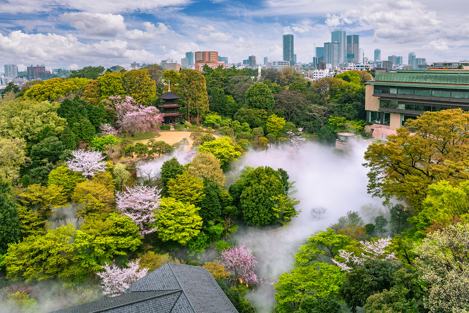 なぜホテル椿山荘東京は選ばれ続けるのか？東京雲海と宿泊の真相