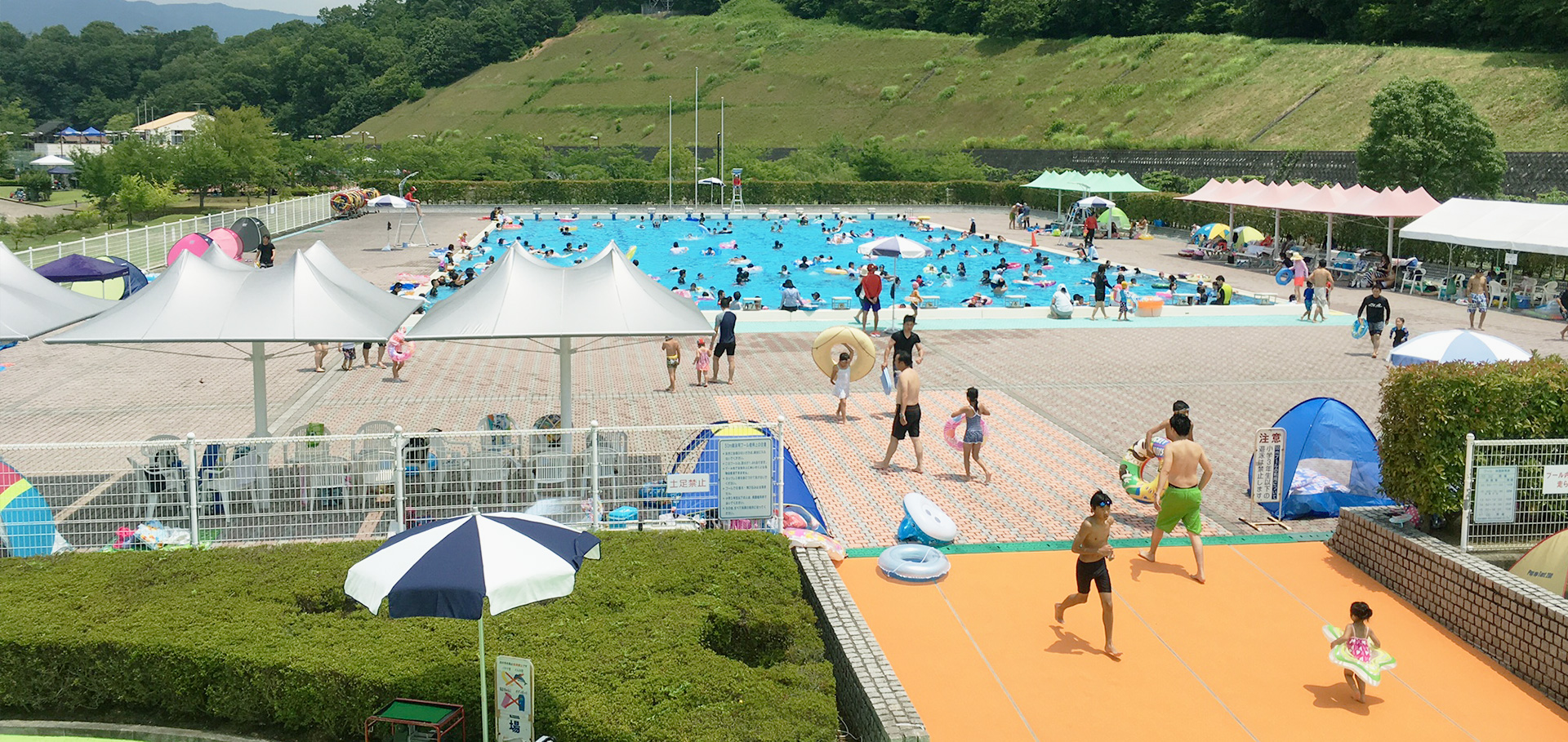 橋本市民プール閉鎖の真相と2026年最新情報！営業再開と利用ガイド