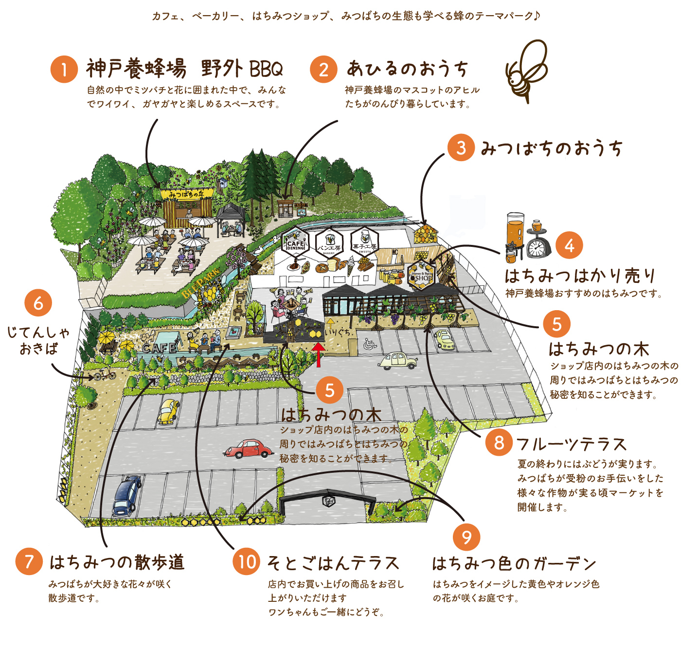 神戸養蜂場に閉店の噂？2026年最新の営業状況と絶品ランチの真相