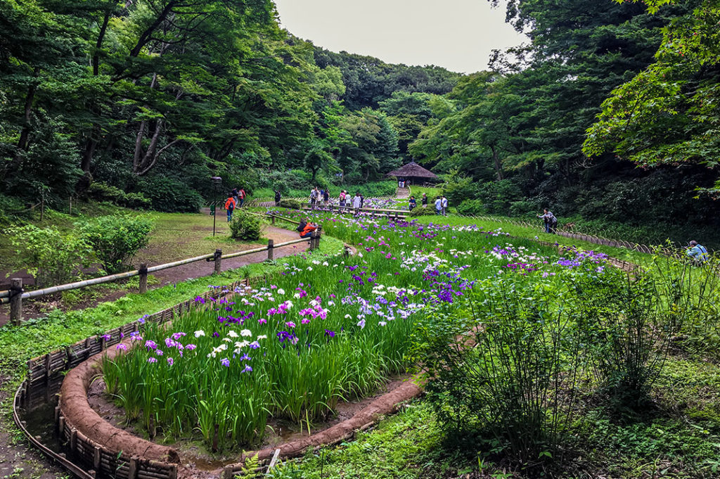 水戸・ときわ邸M-Gardenの絶景ランチ＆予約全貌を徹底解説