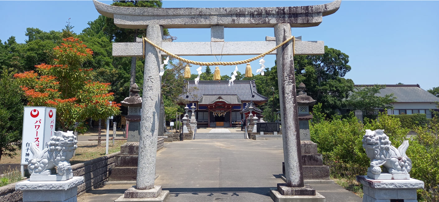 白蛇が導く強運と縁結び！千葉の隠れ名社・白子神社の極上参拝術