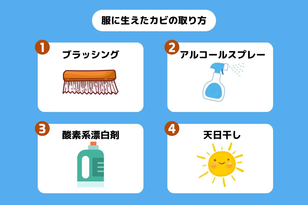 【プロ直伝】服の黒カビの取り方！色柄物も失敗しない漂白黄金比を徹底解説