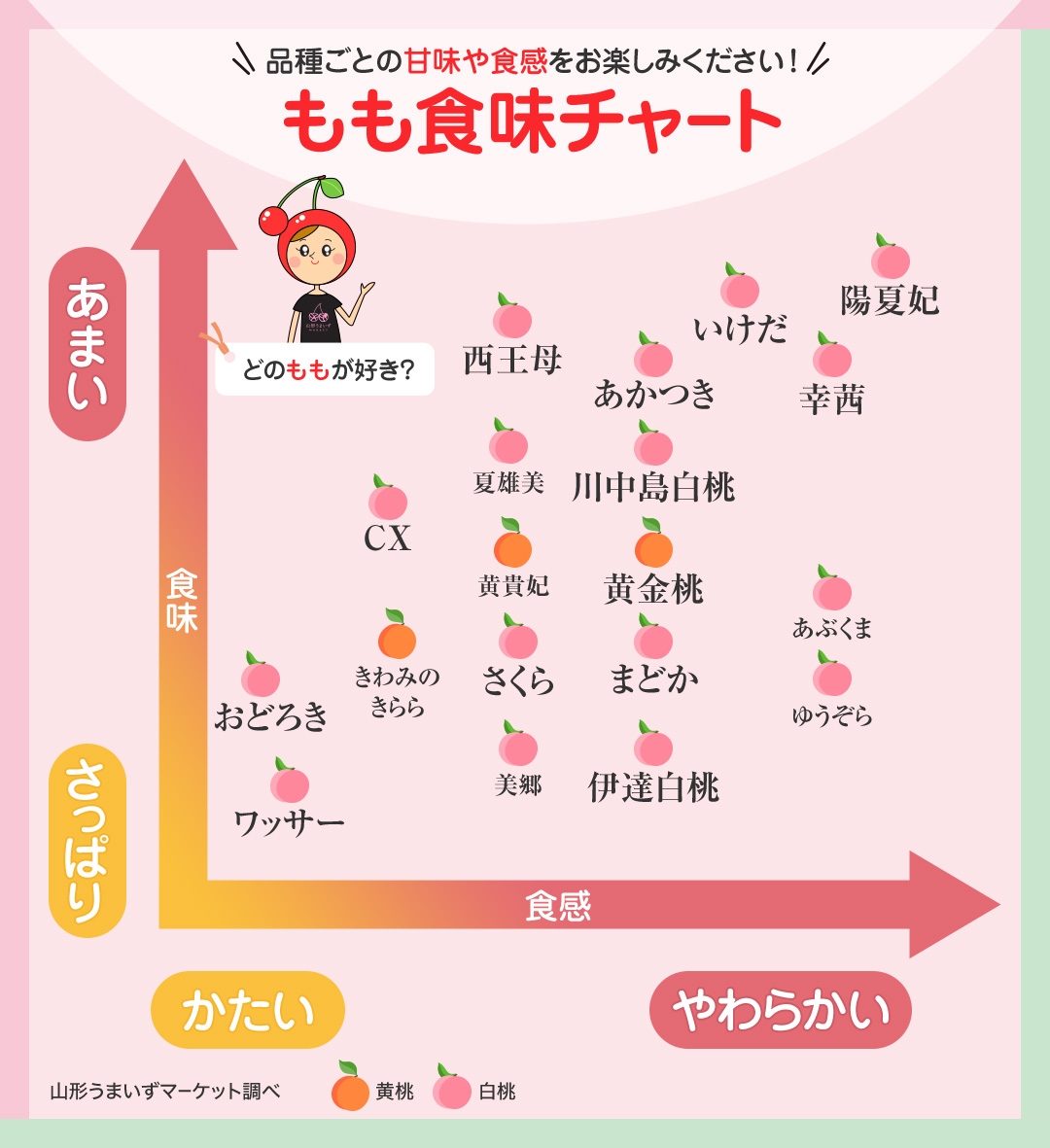 プロ直伝！甘い桃の見分け方とお尻の色の秘密【2026年最新】