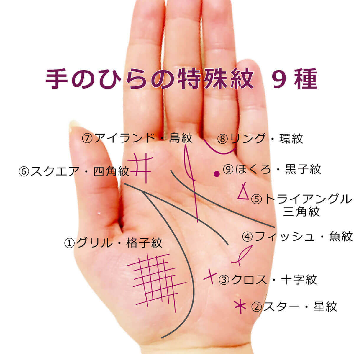 手相は右手と左手のどっちで見る？先天運と後天運の真実【2026最新】