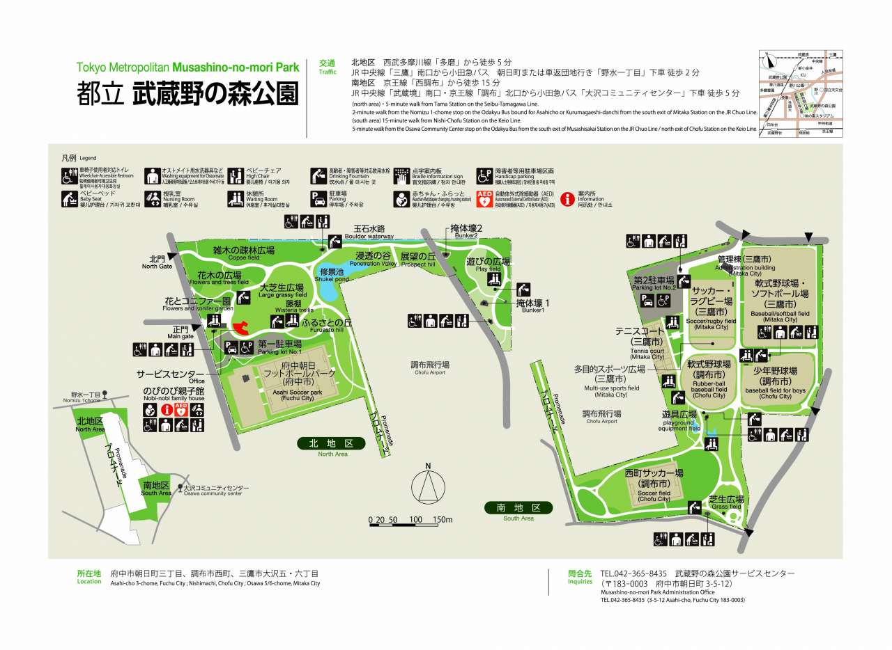 武蔵野の森公園の魅力と混雑回避術！飛行機撮影から穴場まで徹底解説