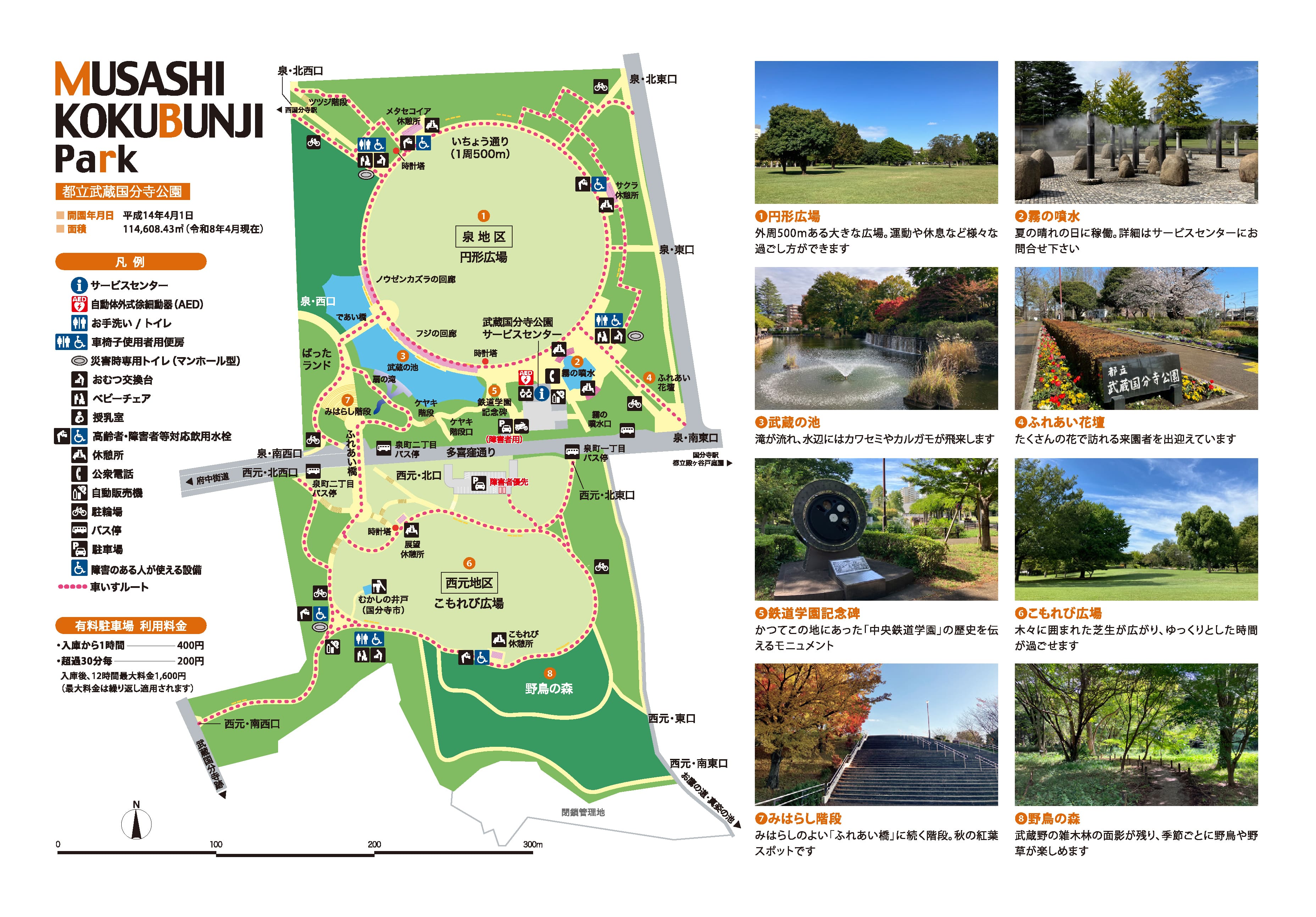 武蔵国分寺公園の魅力と混雑対策｜2026年現地調査で判明した全貌