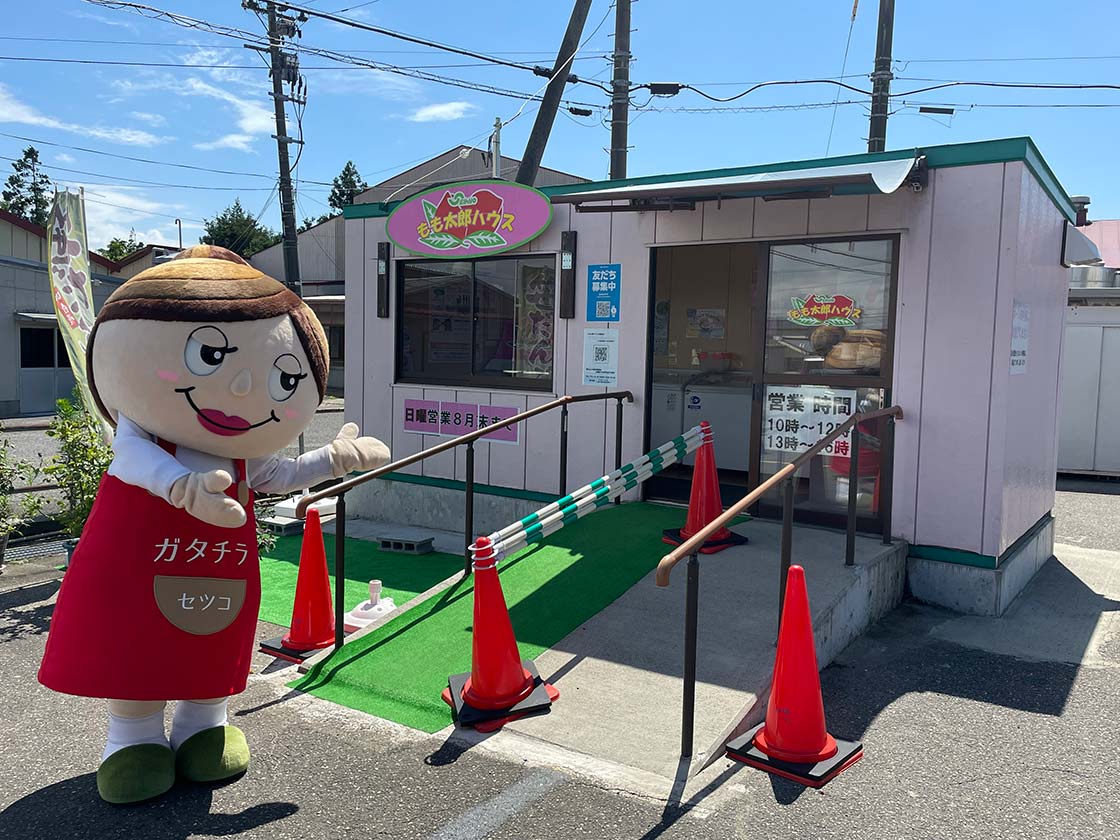 ハウス桃太郎の育て方と特徴を徹底解剖｜甘いトマトを育てる秘訣