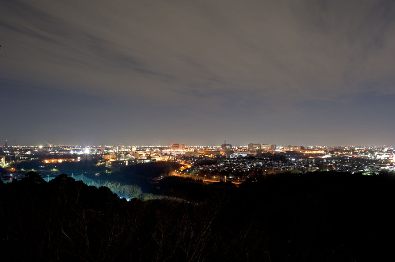 野見山展望園地の夜景と桜に感動！豊田スタジアム一望の絶景と完全攻略